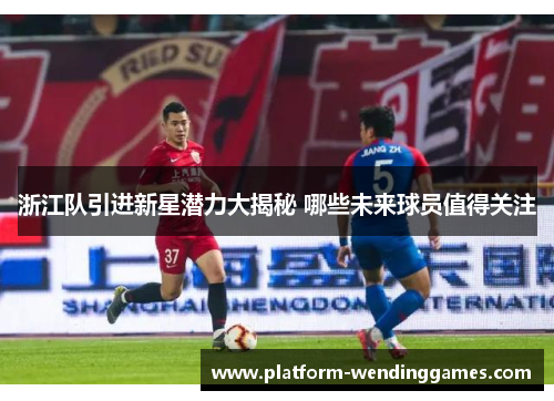 浙江队引进新星潜力大揭秘 哪些未来球员值得关注