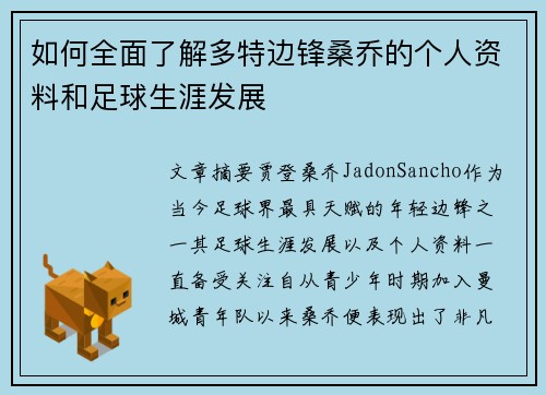 如何全面了解多特边锋桑乔的个人资料和足球生涯发展