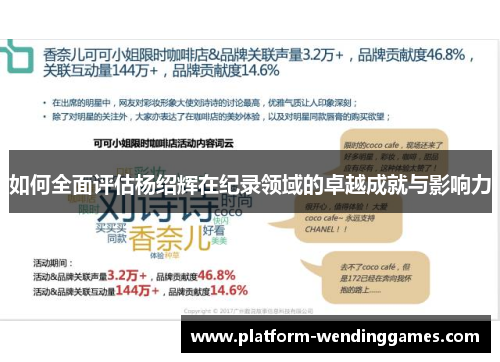 如何全面评估杨绍辉在纪录领域的卓越成就与影响力