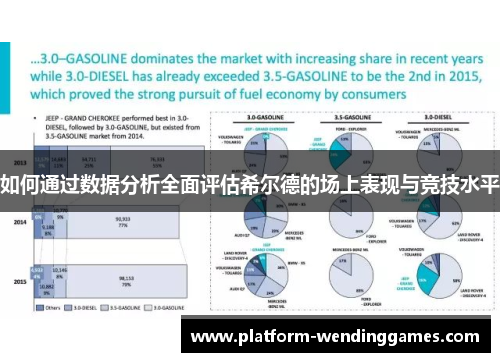 如何通过数据分析全面评估希尔德的场上表现与竞技水平