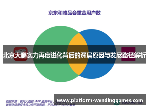 北京大腿实力再度进化背后的深层原因与发展路径解析
