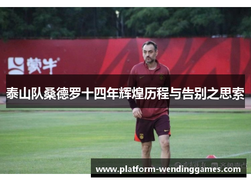 泰山队桑德罗十四年辉煌历程与告别之思索