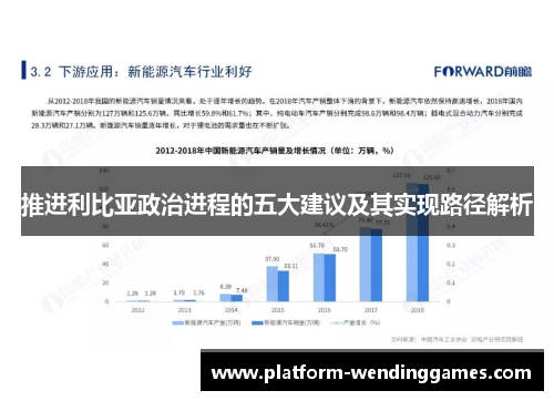 推进利比亚政治进程的五大建议及其实现路径解析