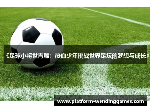 《足球小将世青篇：热血少年挑战世界足坛的梦想与成长》