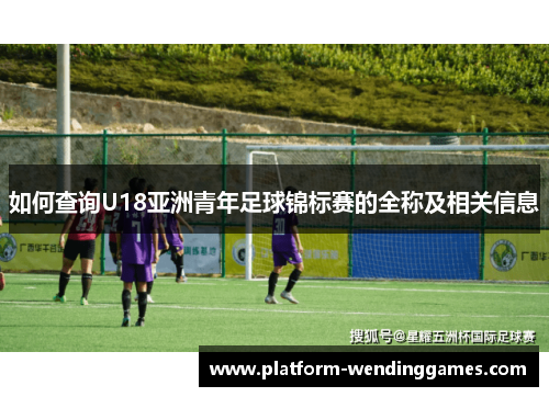 如何查询U18亚洲青年足球锦标赛的全称及相关信息