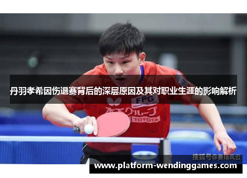 丹羽孝希因伤退赛背后的深层原因及其对职业生涯的影响解析