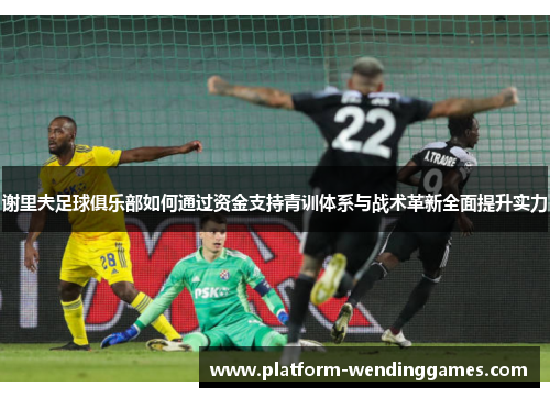 谢里夫足球俱乐部如何通过资金支持青训体系与战术革新全面提升实力 谢里夫足球俱乐部如何通过资金支持青训体系与战术革新全面提升实力
