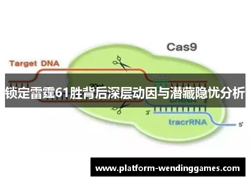 锁定雷霆61胜背后深层动因与潜藏隐忧分析