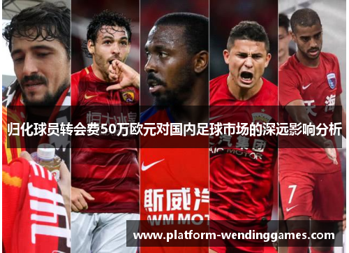 归化球员转会费50万欧元对国内足球市场的深远影响分析