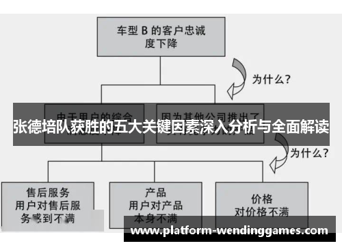 张德培队获胜的五大关键因素深入分析与全面解读