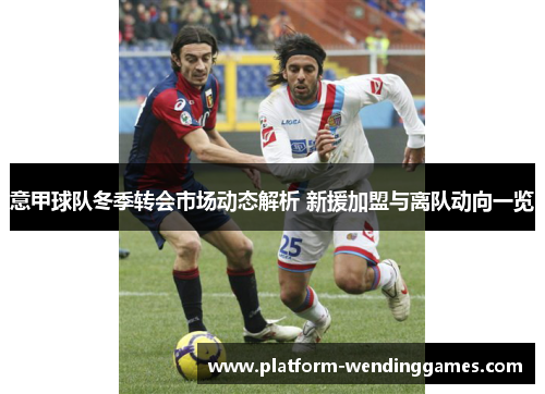 意甲球队冬季转会市场动态解析 新援加盟与离队动向一览