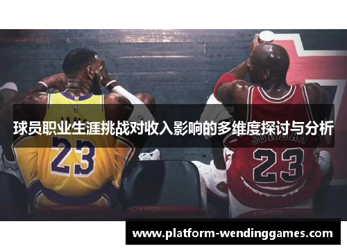 球员职业生涯挑战对收入影响的多维度探讨与分析