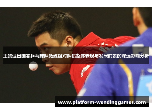 王皓退出国家乒乓球队教练组对队伍整体表现与发展前景的深远影响分析