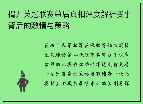 揭开英冠联赛幕后真相深度解析赛事背后的激情与策略